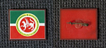 Значок Татарстан, флаг  (М211)
