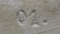 Поднос. Мейсен 1796-1801 гг. 26 х 18,5 см., скол