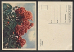Открытка Розы 1960 г  (3584)