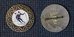Значок Лыжи, слалом (М149)