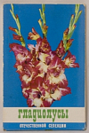 Набор открыток Гладиолусы 1974 г, 18 шт. (4251)