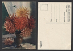 Открытка Кактусовые георгины 1959 г  (3675)