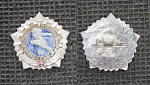 Значок ГТО СССР, 2 разряд, голубой (М128)