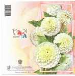 Открытка Хризантемы 20.02.2003