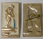 Значок Петродворец  (6)