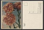 Открытка Карликовые астры 04.03.1960 г  (3637)