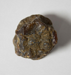 Сердолик  вес 51 гр, размер 3,5х3,5 см (15)