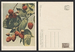 Открытка Малина 27.08.1959 г  (3583)
