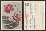 Открытка Розы 1959 г  (3591)