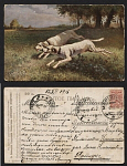 Открытое письмо К. Трайнъ Бегущие собаки (765)