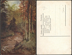 Открытка до 1945 года В лесу (2771)