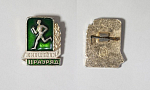Значок Юношеский 2 разряд (45)