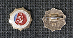 Значок Летняя спартакиада народов РСФСР 1971 г (94)