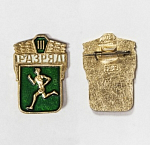 Значок III разряд  (230)