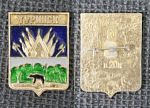 Значок Туринск, герб  (315)