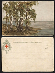 Открытое письмо Дозв. цена СПБ 28.11.1903 (785)