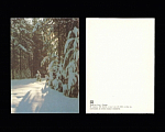 Открытка Зимний лес, 1986 г