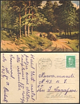 Открытка до 1945 года Повозка в лесу (2758)
