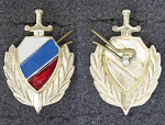 Петличный знак МВД России (18)