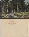Открытое письмо  Шишкин. Корабельная роща  (2105)