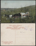 Почтовая карточка до 1945 года. Кузнецов. В праздник  (1845)