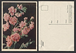 Открытка Левкои 04.03.1960 г   (3617)