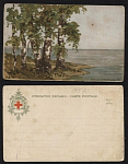 Открытое письмо Дозв. цена СПБ 28.11.1903 (786)