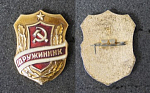 Значок Дружинник  (66)
