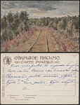Почтовая карточка до 1945 года. Лукашевич. полотно (1805)