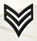 Знак различия, США