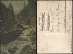 Открытка до 1945 года Природа (2751)