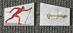 Значок Лыжник  (М245)