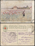 Открытое письмо Зарубин. Маки  (3216)
